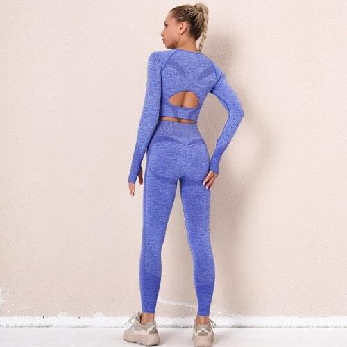 Autumn And Winter Fitness Slim Sport Suit Long Sleeve Hip-Lifting Women Yoga Top Pants Women Seamless Yoga Suit