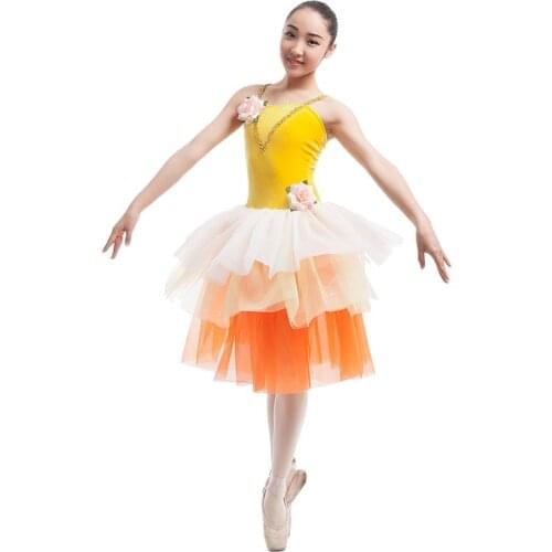 16016 women stage performance ballet costume tutu lady dance costume long ballet tutu ballerina girl dance costume tutu