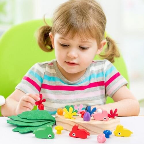 Montessori Educational Wooden Toys Early Learning Color Cognition Wooden Toys Education Montessori Sensory Toys For Chirldren