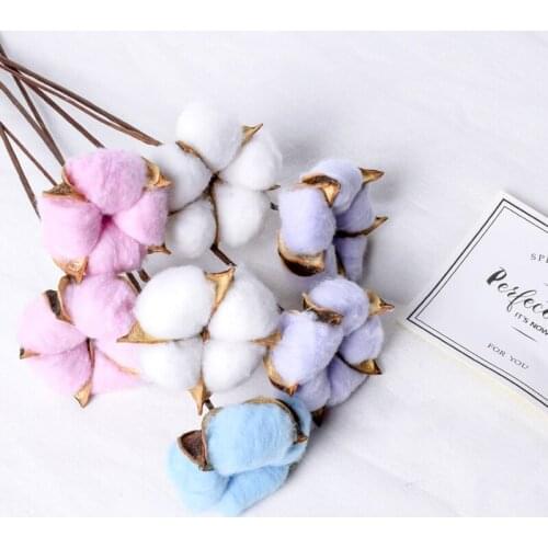 Dried Cotton Flowers 10pcs Head Natural Dry Flower Artificial Plants Floral Wedding Marriage Decoration Party Home Accessories