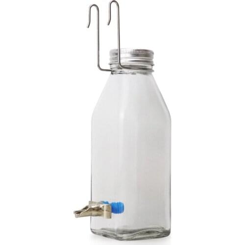 Parrot Dragon Cat Bumps Needle Kettle Large Silent Glass Water Dispenser Squirrel Hedgehog Supplies Waterdispenser Flying Bao