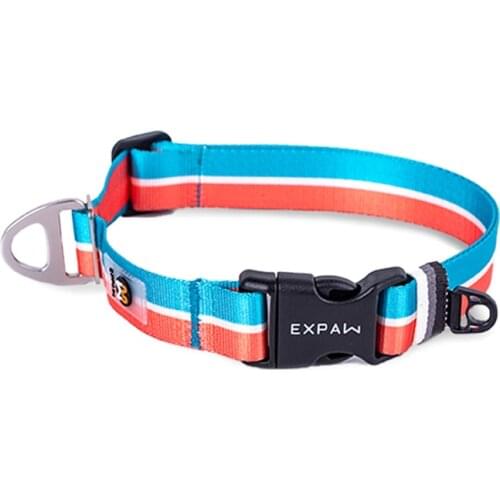 Fashion Dog Collar Adjustable Nylon Pet Neck Belt Training Walking Small Dog Accessories Greyhound