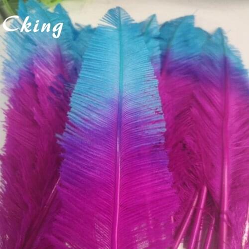 Cking 2020 New Coming 50PCS Turquoise+Hot Pink Bi-Color Dyed Nandu Ostrich Feather Length 45-50CM Width 6-10CM DIY Natural Pluma