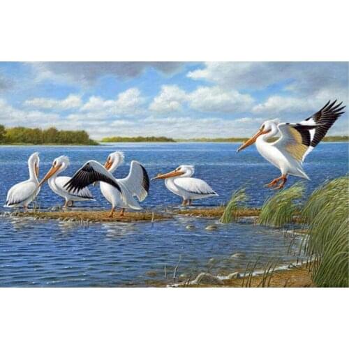 5D DIY Diamond Painting Bird Pelicans Pictures Full Square Round 3D Diamond Embroidery Crystal Mosaic Home Decoration Gift DF100