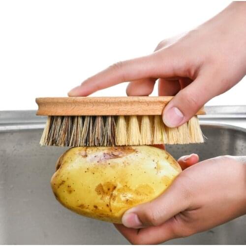 Vegetable Brush Scrubber for Food. Brush of Potato/Mushroom/Carrot/Veggie。Hard and Soft Side and Durable Wooden Handle. Palm/Sis