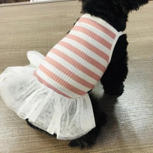 Puppy Skirt Summer Dog Clothes Pet Dress Yorkshire Pomeranian Poodle Bichon Schnauzer Dog Clothing Princess Costume Tutu Clothes