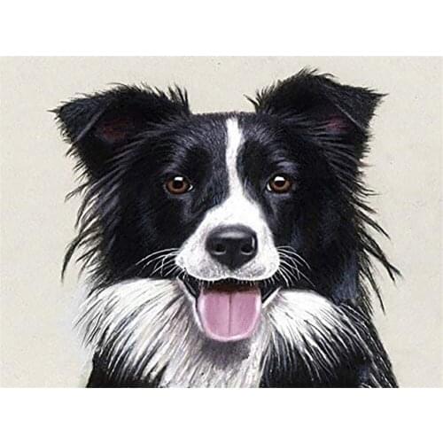 Animal Border Collie DIY Cross Stitch Embroidery 11CT Kits Needlework Craft Set Cotton Thread Printed Canvas Home Sale