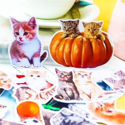 Stickers 21pcs Creative kawaii Cute Cartoon CAT scrapbooking stickers /decorative sticker /DIY craft photo albums/Children