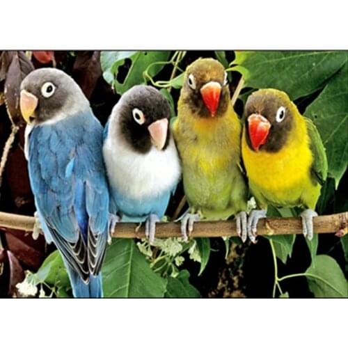 JMINE Div 5D Parrot bird leaves Full Diamond Painting cross stitch kits art High Quality Animal 3D paint by diamonds