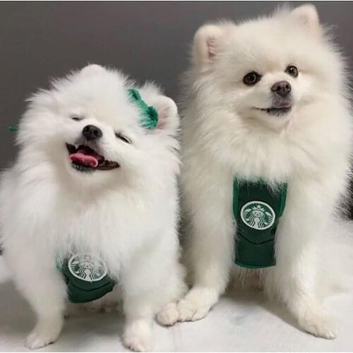 Pets Apron Funny Cute Decoration For Dogs Cats Adjustable Strap Pets Apron For Small Medium Pets Chihuahua Yorkshire Teddy