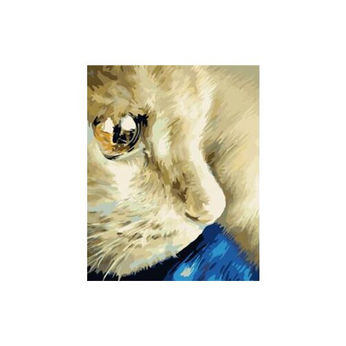 MaHuaf-W923 Tibet Cat Eye Set for coloring by numbers art animal pictures for living room home decor