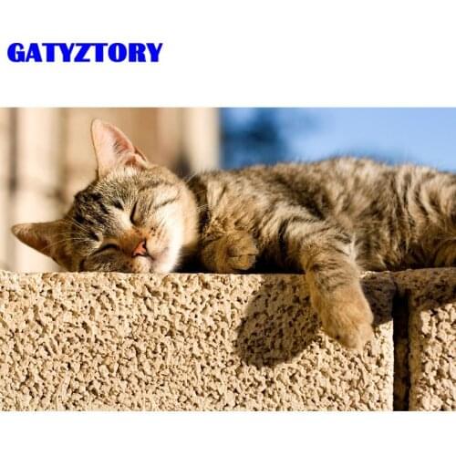 GATYZTORY Painting By Number Sleep Cat Animal Drawing On Canvas HandPainted Paint Art Gift DIY Coloring By Number Kits Home Deco