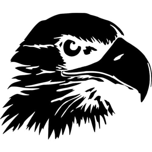 Condor Bird Art Animal Decals High Quality Car Window Decoration Personality Pvc Waterproof Decals Black/white, 20cm*17cm