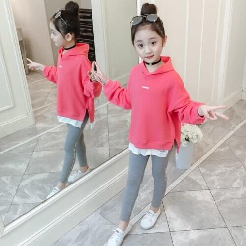Children Clothing Sports Suit For Girls Hooded Sweatshirts Long Sleeve Kids Girls Clothing Set Spring Casual Tracksuit