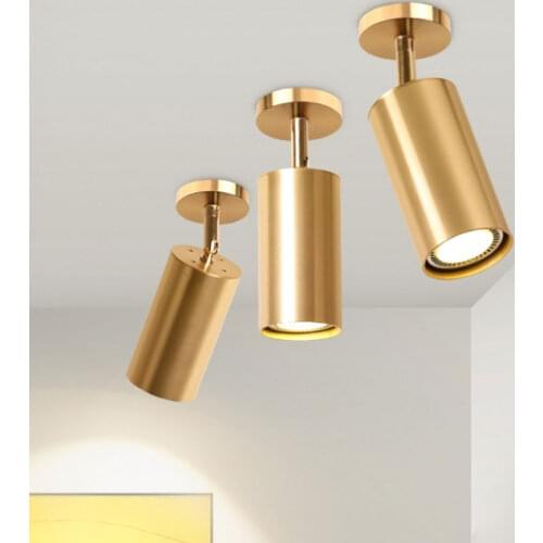 Modern Led Ceiling Light Surface Mounted Ceiling Downlight LED Spot Lighting Ceiling Lamp Living Room Kitchen Indoor Fixtures