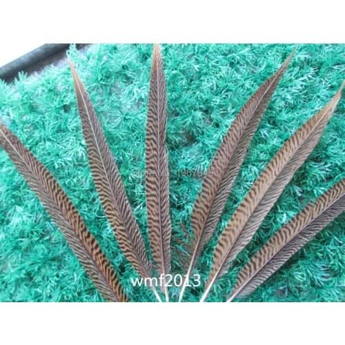 50 PCS / batch of natural pheasant tail feathers long 8-10 inch / 20-25 cm accessories clothing DIY celebration decoration