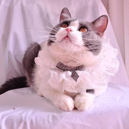 New Puppy Pet Accessories Dogs Bows cat lace collar dog rabbit saliva towel bow bell bib