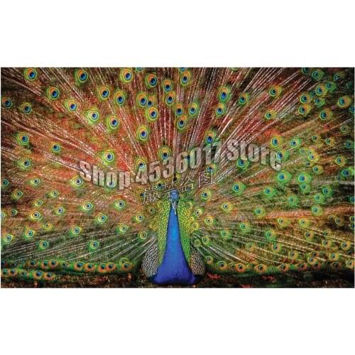 5D Diy Diamond Painting,Cross Stitch,Full Diamond Embroidery,Birds,Animals,peacock,3D,Diamond Mosaic,Rhinestones,Needlework