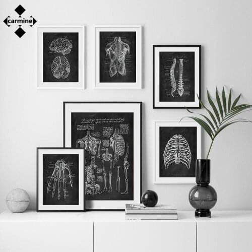Skeleton Organ Wall Art Muscle System Canvas Painting Human Anatomy Poster Vintage Medical Artwork Body Education Pictures Decor