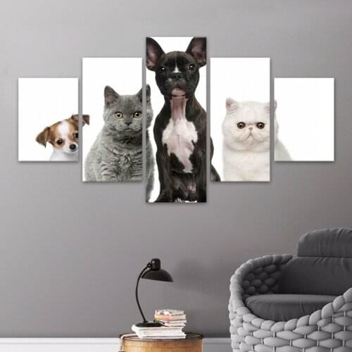 5 Pieces of Cute Pet Cat Poster Sofa Wall Home Bedroom Living Room Decoration Frameless Printing Canvas Hanging Painting Core