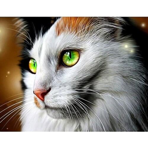 Cat In The Basket Diamond Painting Kit - DIY