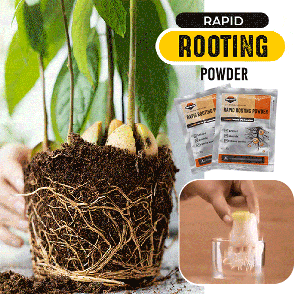 OLOEY Plant Food