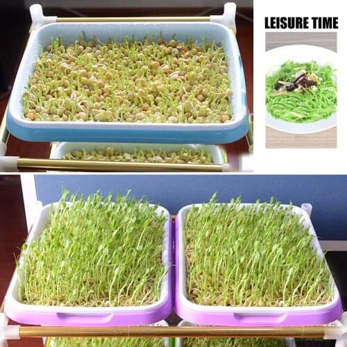 Double-layer Plastic Plate Seedling Hydroponic Flower Basket Plant Sprouting Planting Set Home Garden Tray Box