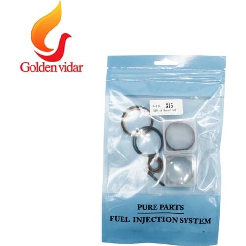 Hot Sale, diesel engine repair kits 4062568RX, for common rail diesel fuel part, for DEN, fuel injection part, 4062568RX (X15)