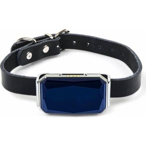 Pet GPS Beidou locator dog anti lost anti lost tracker pet positioning collar