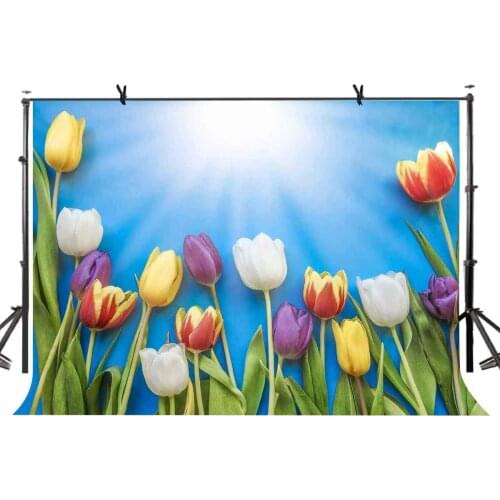 150x220cm Tulip Backdrop Sunshine Tulip Blue Photography Background for Camera Photo Props