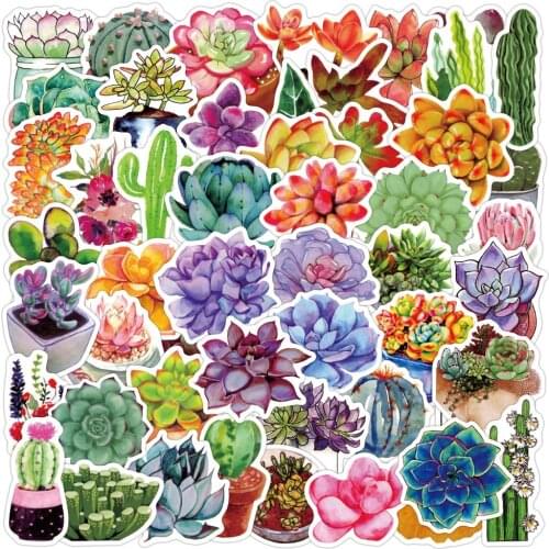 50 PCS New Cute Succulent Green Potted Stickers For Luggage Computer Skateboard Guitar Car Waterproof Graffiti Stickers Toys