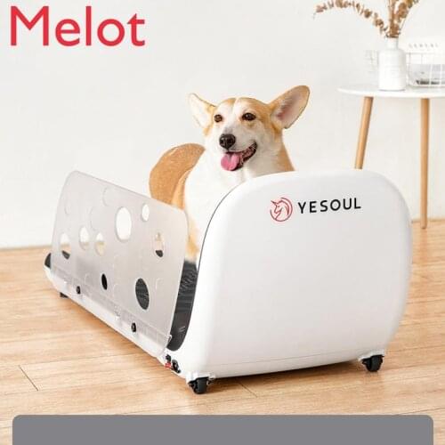 Pet Treadmill Household Mute Cat Dog Training Machine Dog Treadmill Convenient Family Multi-function Gift High Quality Durable