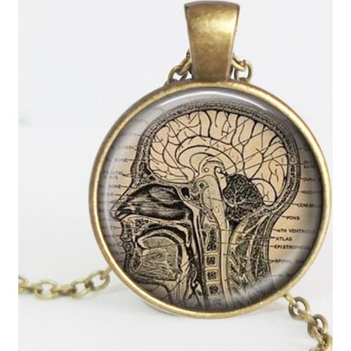 Anatomical brain necklace, human brain anatomy pendant, neurologist gift, biology, medical student gift, neurology pendant