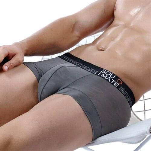 Mens Underwear Ice Silk Boxers Man Breathable Panties Solid Shorts Brand Underpants Men Boxer for Family Sexy Mens Underware