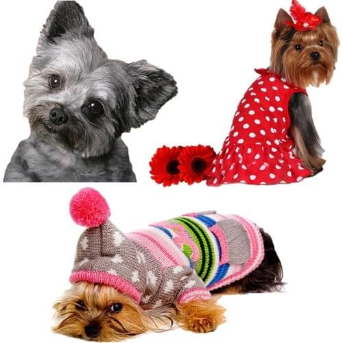 Three Ratels QD102 HD pixel cute Yorkshire terrier pet dog sticker Vinyl auto Wrap for car hood laptop gift decals home decora