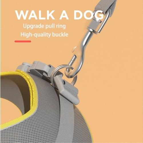 Harness for cats luxury collar breakaway chihuahua Luminous Breast-band leash and harness for dogs cat walks bib For kittens