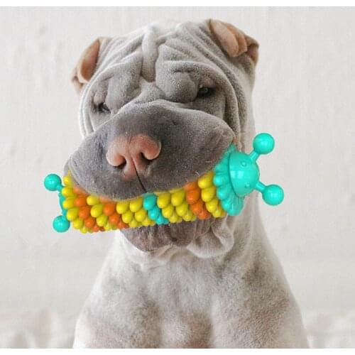 New Caterpillar Dog Chew Toy Pet Dog Serrated Shape Molar Teeth Cleaning Chew Toys Colorful TPR Material Bite Resistant Pet Toy