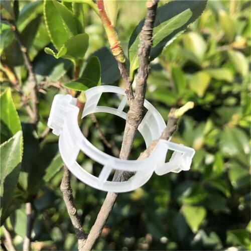 50pcs Plant Support Clips Tomato Clip, Crop Clip, Vine Fixing Clips for Fixation of Tomato, Sweet Pepper,and Fruit Vegetables