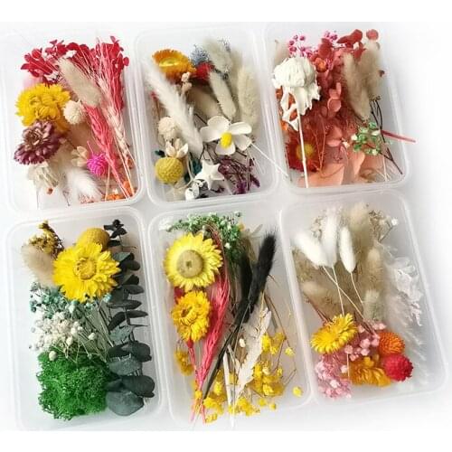 1 Box Real Dried Flower Dry Plants For Aromatherapy Candle Epoxy Resin Pendant Necklace Jewelry Making Craft DIY Accessories