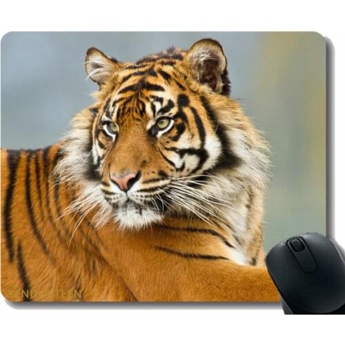 Mouse Pad With Stitched Edge,Tiger Predator Big Cat Striped 95689 Mouse Pads