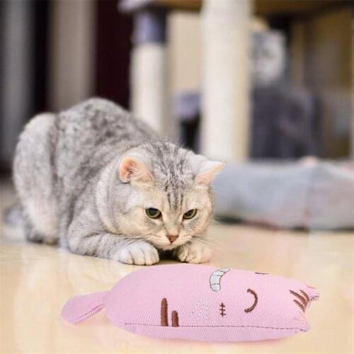 Kitten Catnip Toy Cartoon Bite Resistant Cat Interactive Toy Kitten Chew Toy Pet Bite Toy Cat Teething Toy Premium Pet Supplies