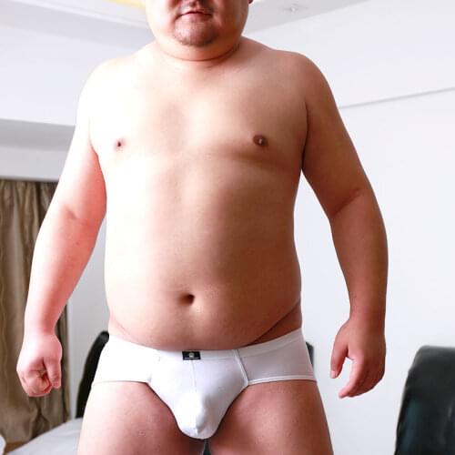 New Arrival Bear Claw Plus Size Mens Translucent Briefs Sexy Shorts Gay Bear Proud Transparent Underwear White M L XL XXL