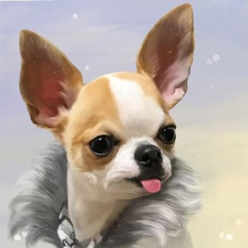 Diy Photo Diamond Embroidery,5d Diamond Painting pet dog ,Cross Stitch,3D,Diamond Mosaic diamond picture