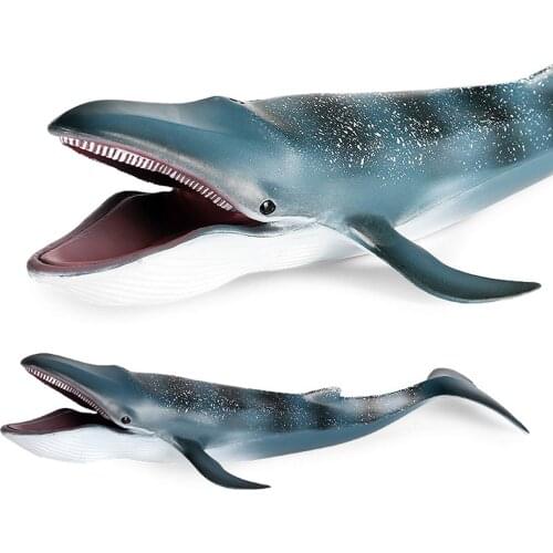 Blue Whale Sculpture Statue Collectible Marine Life Model Toys For Children D50