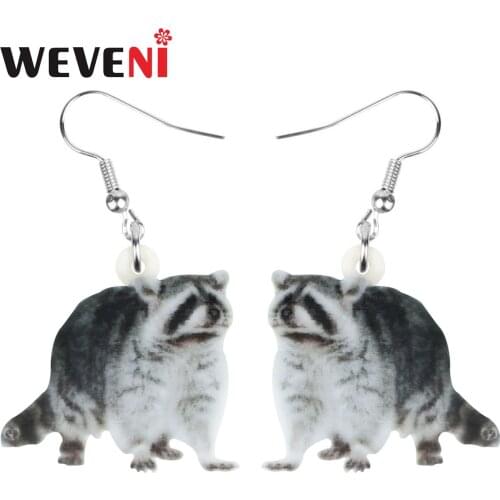 WEVENI Acrylic Gray Cute Northern Raccoon Earrings Big Cute Animal Dangle Drop For Women Girls Kids Teens Novelty Gift Jewelry