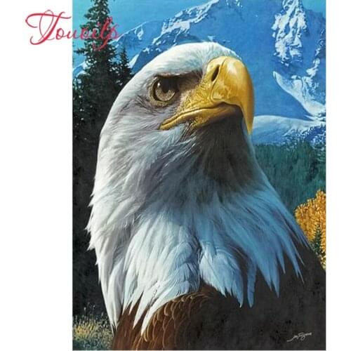 5D DIY diamond embroidery eagle&mountain diamond painting Cross Stitch full square&round drill Rhinestone mosaic home decoration