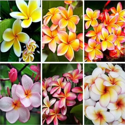 EverShine 5D DIY Diamond Painting Rose Cross Stitch Kits Diamond Embroidery Flower Bead Embroidery Floral Picture Of Rhinestones