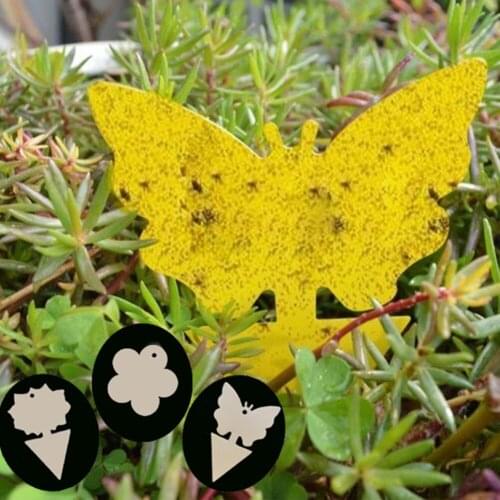 Flie Traps Bugs Sticky Board Dual-Sided Sticky Traps Flying Plant Insect Catcher Lightweight Support Wholesale and Dropshipping