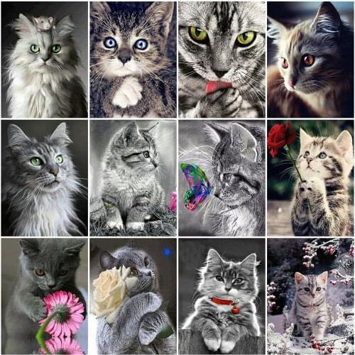 MomoArt 5D DIY Diamond Mosaic Cat Animal New Arrival Diamond Painting Cross Stitch Kits Embroidery Needlework Handmade Gift