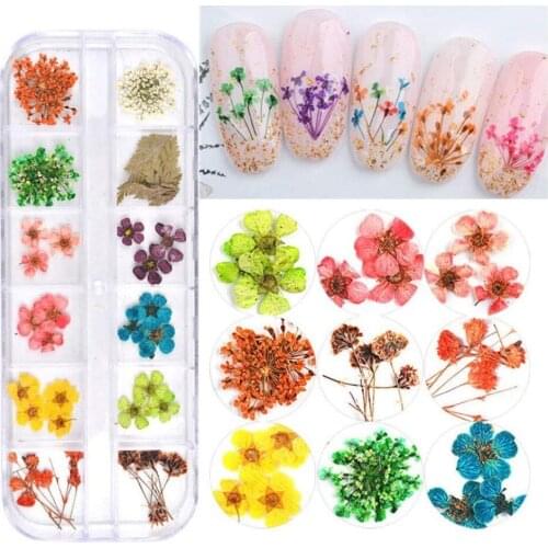 Dried Flower Nail Sticker DIY 3D Nail Decoration 12 Colors 3D Decoration Real Dry Dried Flower Dazzling Tips Nail Sticker Sequin